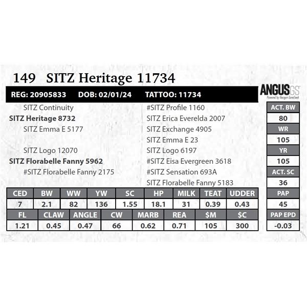 SITZ Heritage 11734