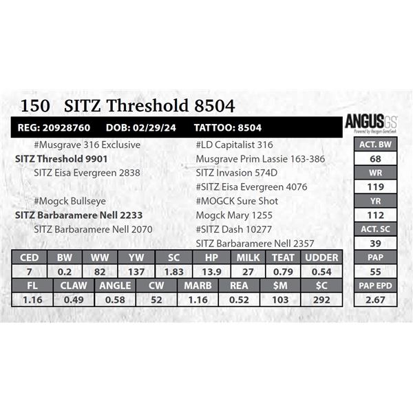 SITZ Threshold 8504