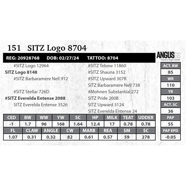 SITZ Logo 8704