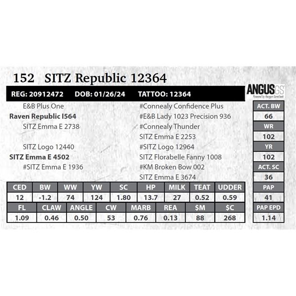 SITZ Republic 12364