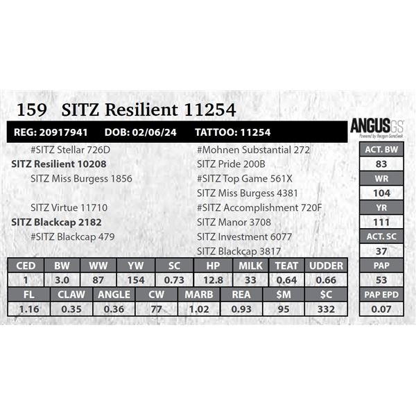 SITZ Resilient 11254