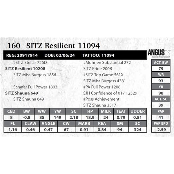 SITZ Resilient 11094
