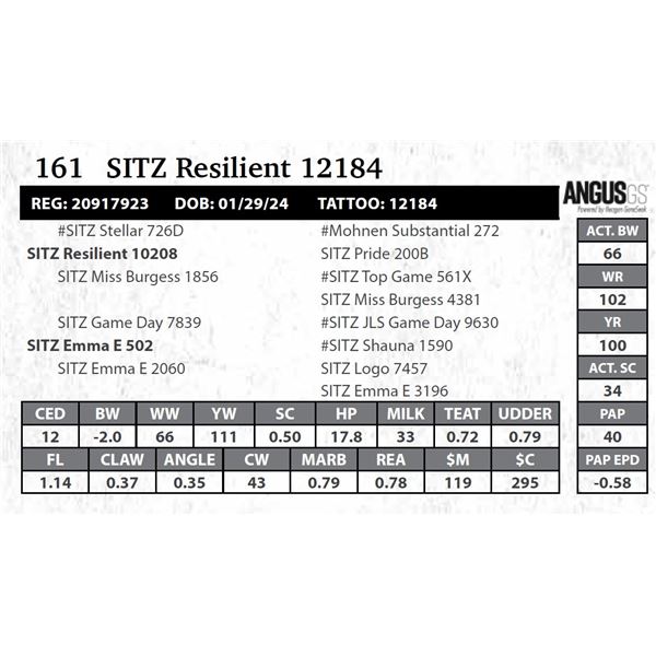 SITZ Resilient 12184
