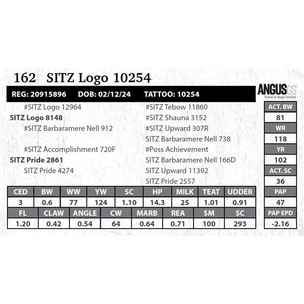 SITZ Logo 10254