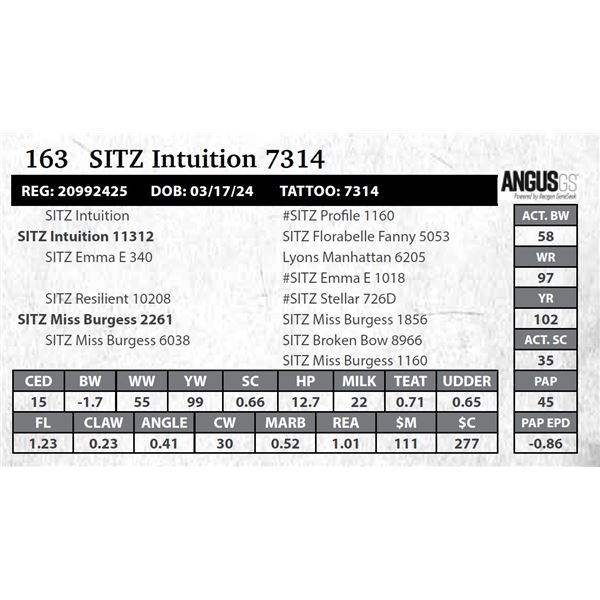 SITZ Intuition 7314