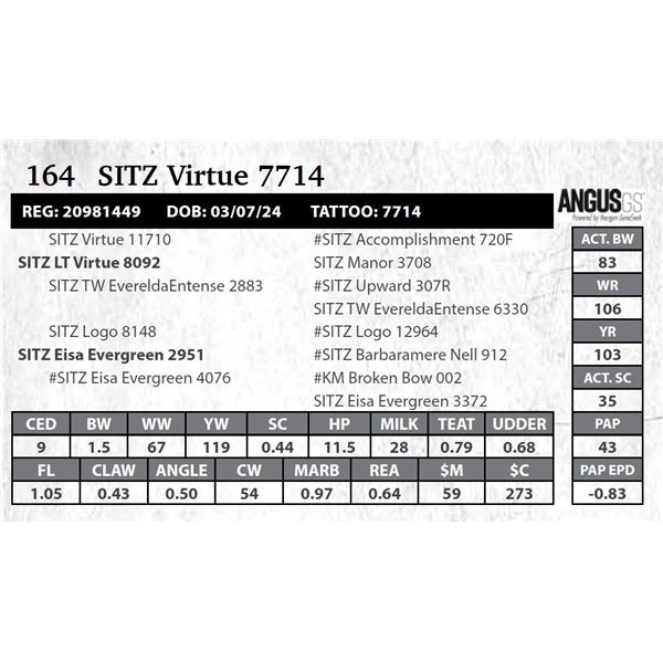 SITZ Virtue 7714
