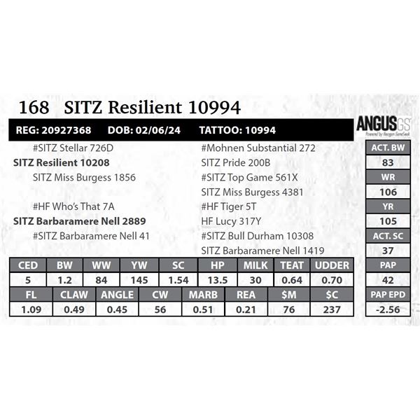 SITZ Resilient 10994
