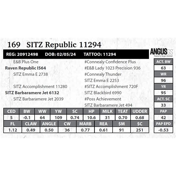 SITZ Republic 11294