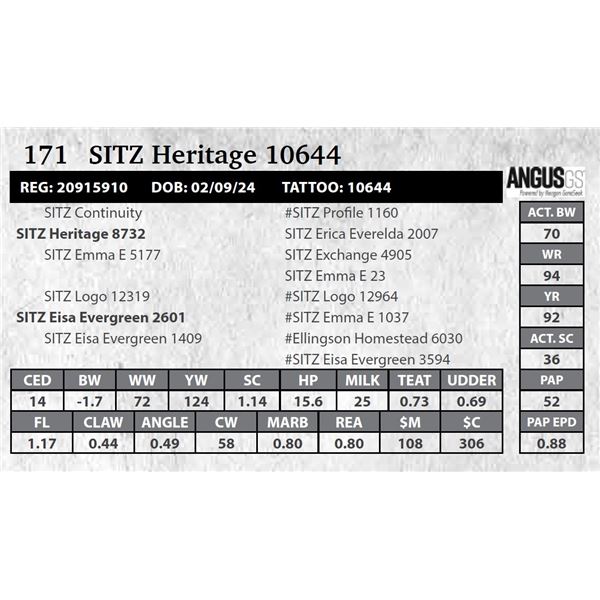 SITZ Heritage 10644