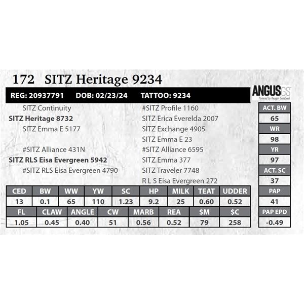 SITZ Heritage 9234