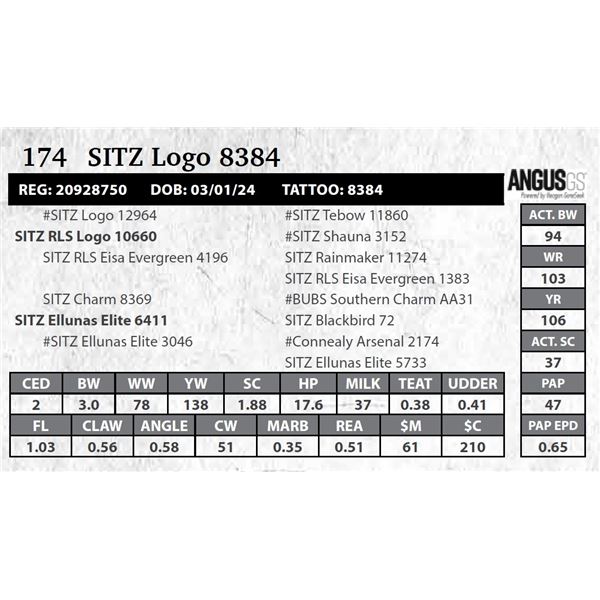 SITZ Logo 8384