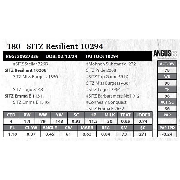 SITZ Resilient 10294