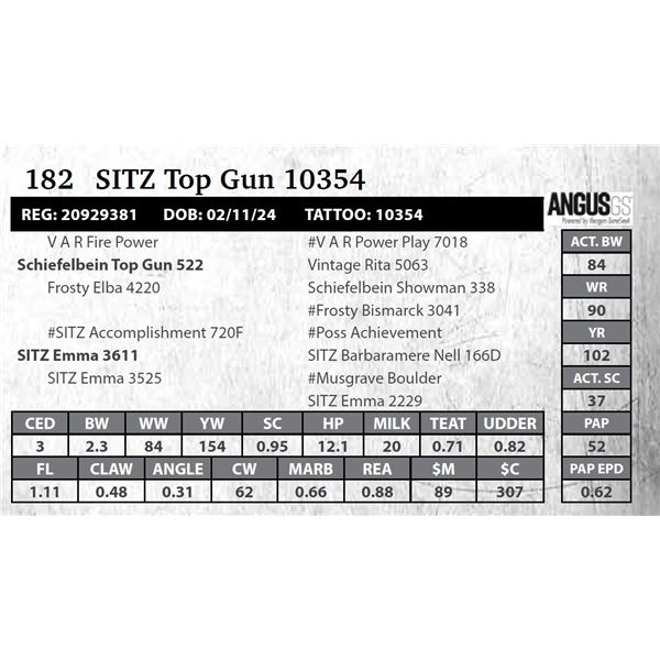 SITZ Top Gun 10354