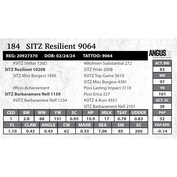 SITZ Resilient 9064