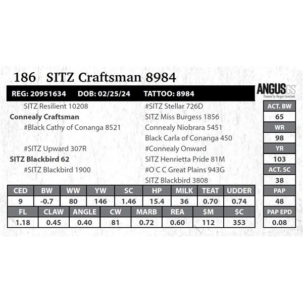 SITZ Craftsman 8984