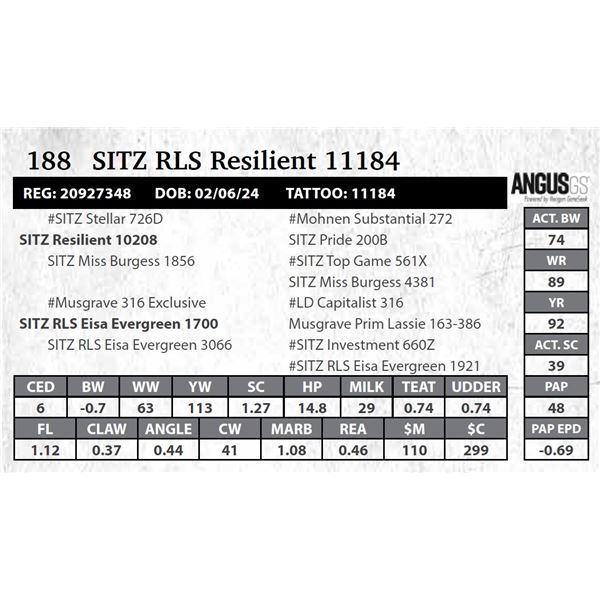 SITZ RLS Resilient 11184