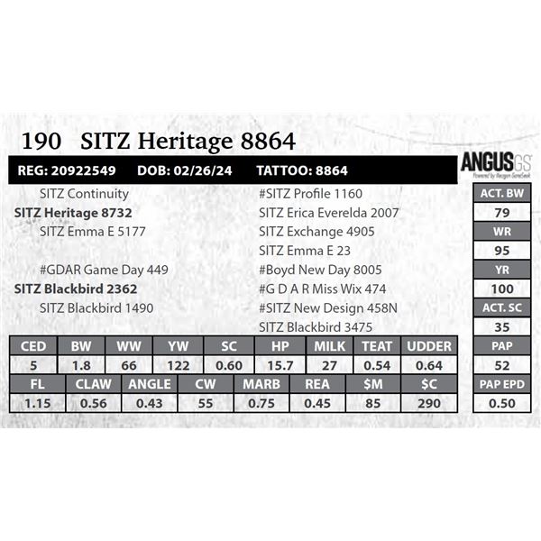 SITZ Heritage 8864