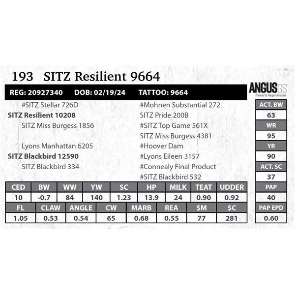 SITZ Resilient 9664
