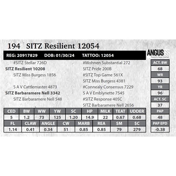 SITZ Resilient 12054