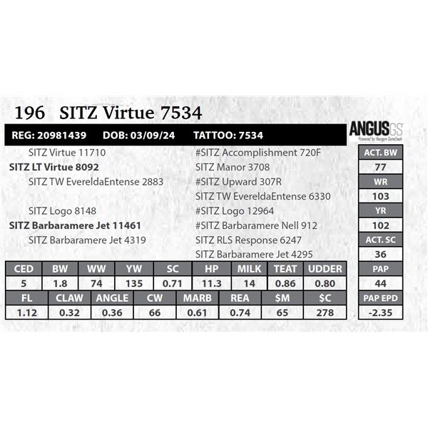 SITZ Virtue 7534