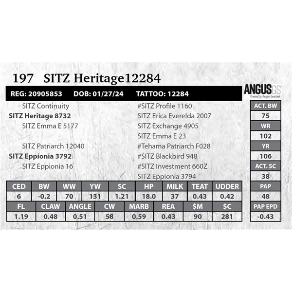 SITZ Heritage12284