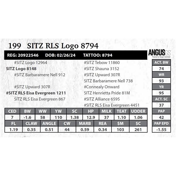 SITZ RLS Logo 8794