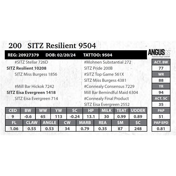 SITZ Resilient 9504