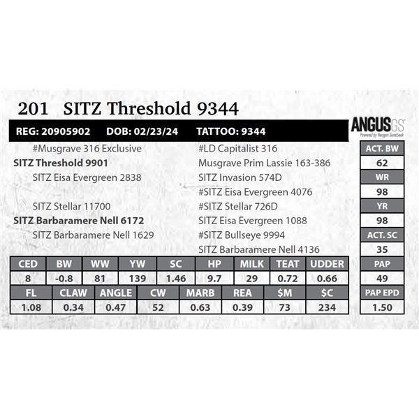 SITZ Threshold 9344