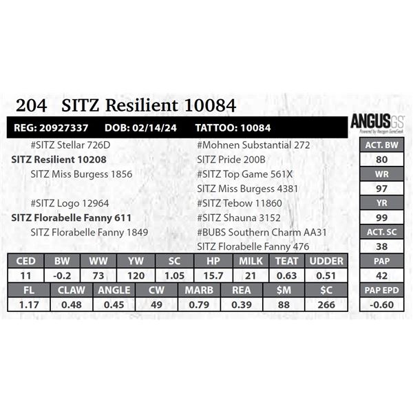 SITZ Resilient 10084