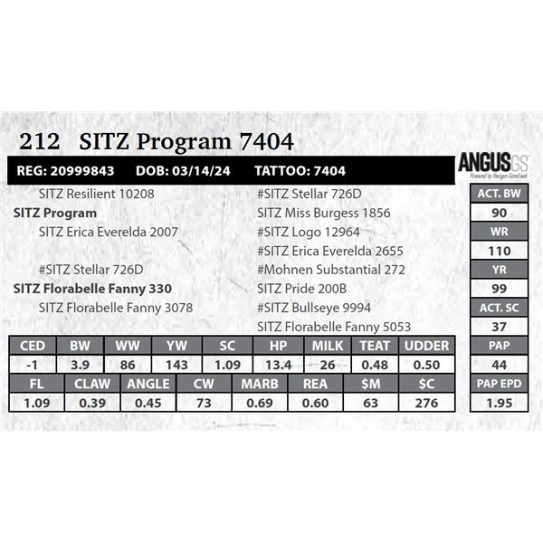 SITZ Program 7404