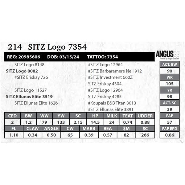 SITZ Logo 7354