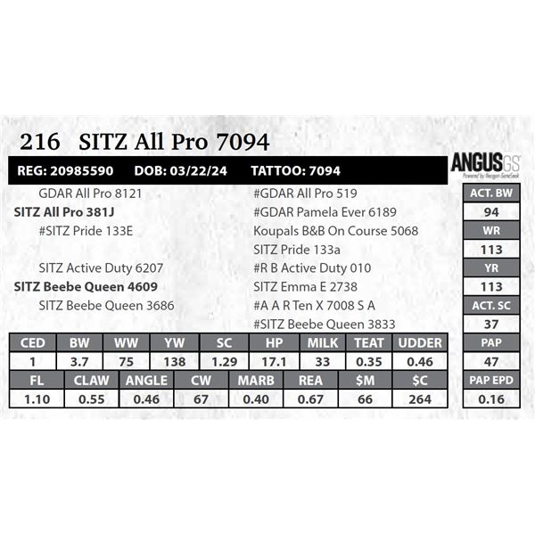 SITZ All Pro 7094