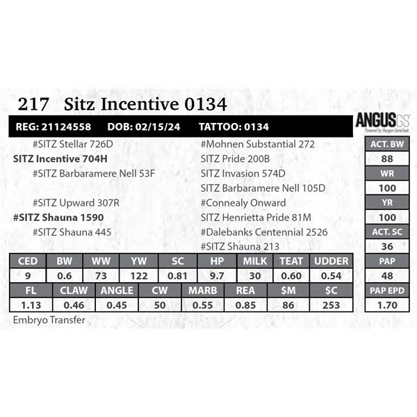 Sitz Incentive 0134