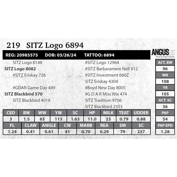 SITZ Logo 6894