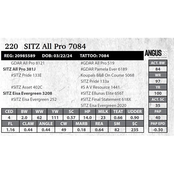 SITZ All Pro 7084