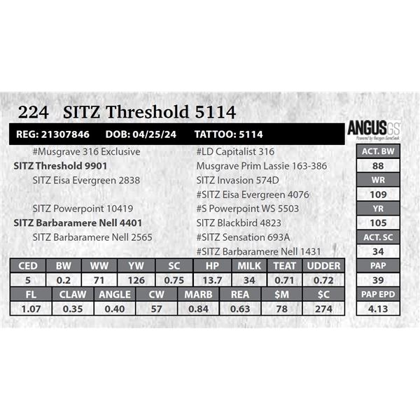 SITZ Threshold 5114