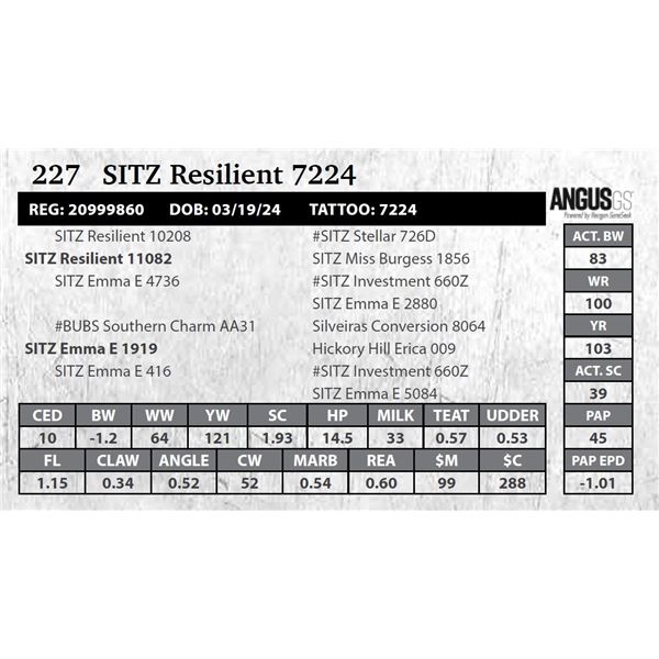 SITZ Resilient 7224