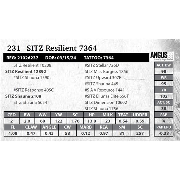 SITZ Resilient 7364