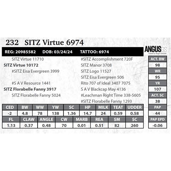 SITZ Virtue 6974