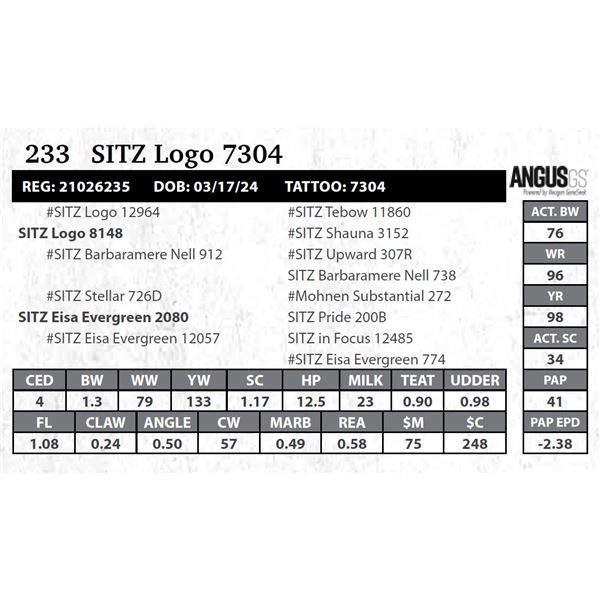 SITZ Logo 7304