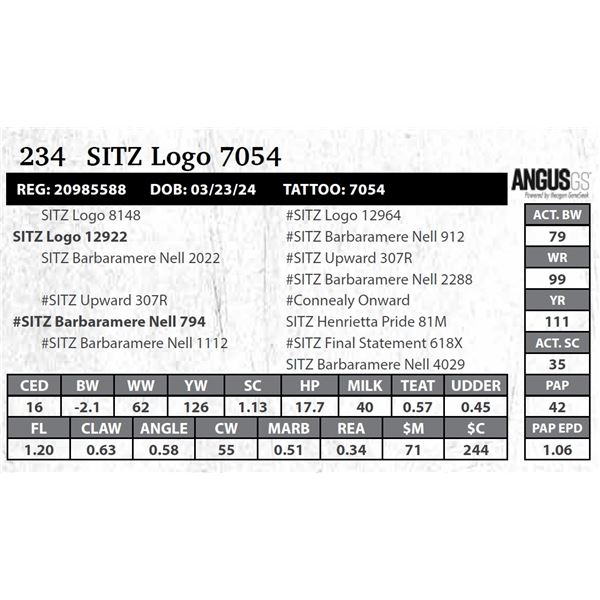 SITZ Logo 7054