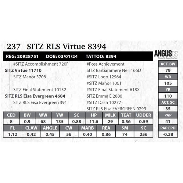 SITZ RLS Virtue 8394