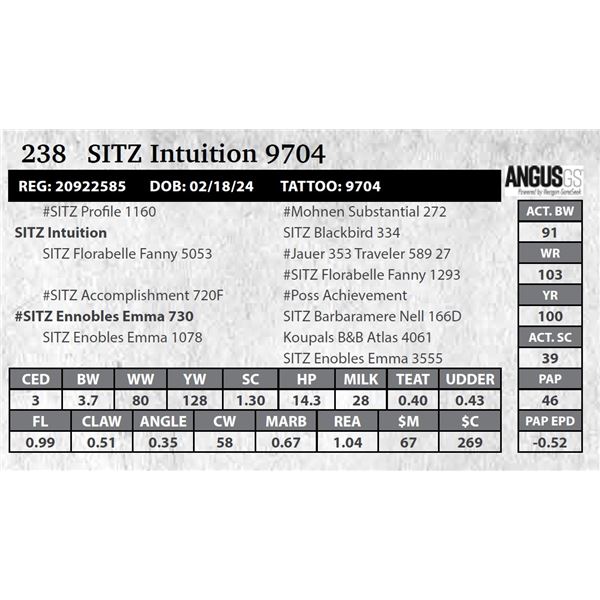 SITZ Intuition 9704