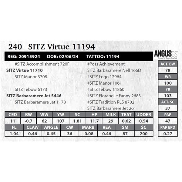 SITZ Virtue 11194