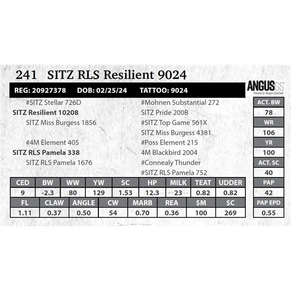 SITZ RLS Resilient 9024