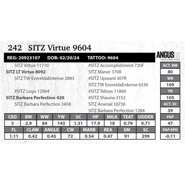 SITZ Virtue 9604