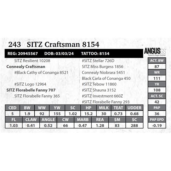 SITZ Craftsman 8154
