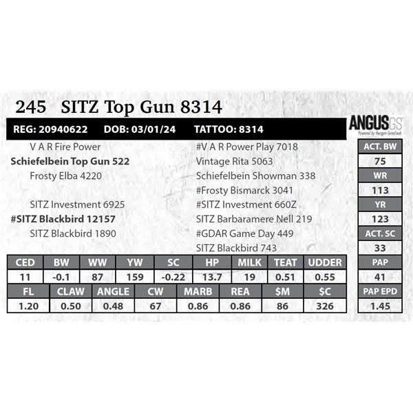 SITZ Top Gun 8314