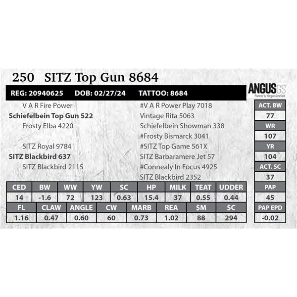 SITZ Top Gun 8684