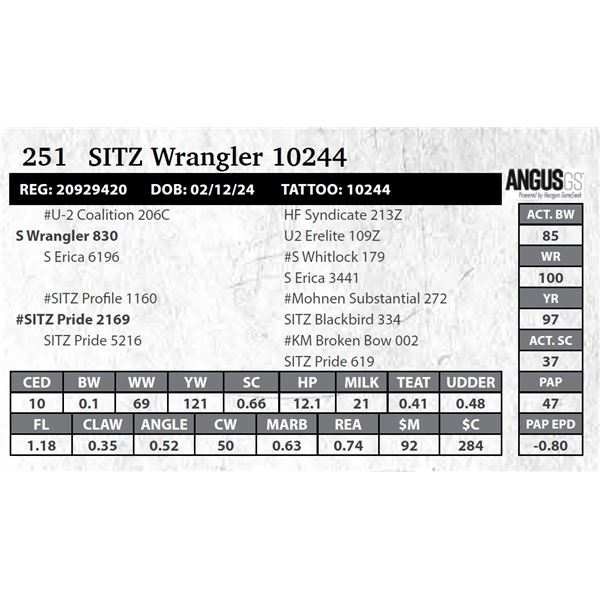 SITZ Wrangler 10244